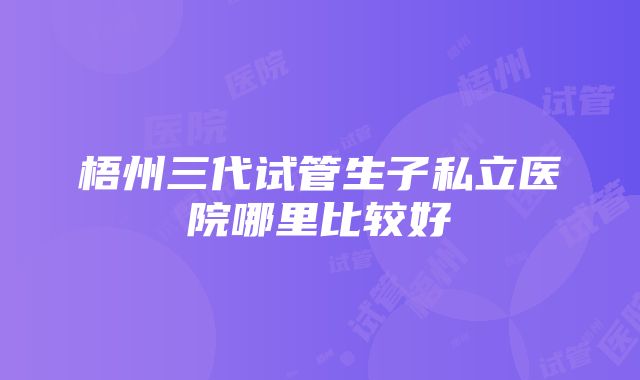 梧州三代试管生子私立医院哪里比较好