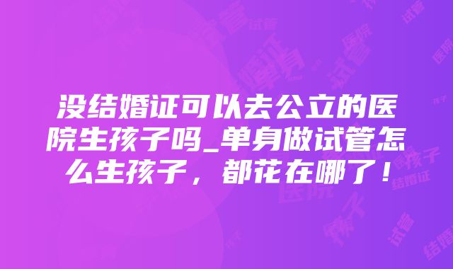 没结婚证可以去公立的医院生孩子吗_单身做试管怎么生孩子，都花在哪了！