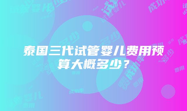 泰国三代试管婴儿费用预算大概多少？