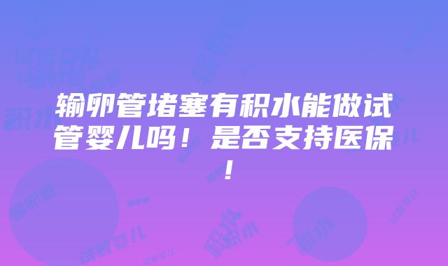 输卵管堵塞有积水能做试管婴儿吗！是否支持医保！