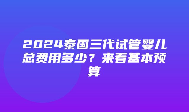 2024泰国三代试管婴儿总费用多少？来看基本预算