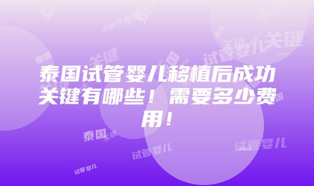 泰国试管婴儿移植后成功关键有哪些！需要多少费用！