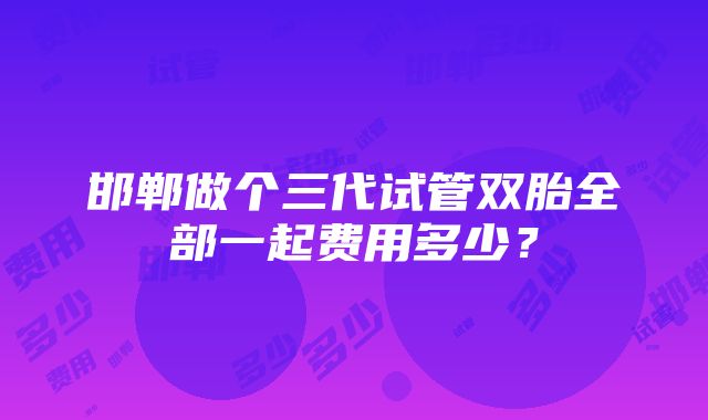 邯郸做个三代试管双胎全部一起费用多少？