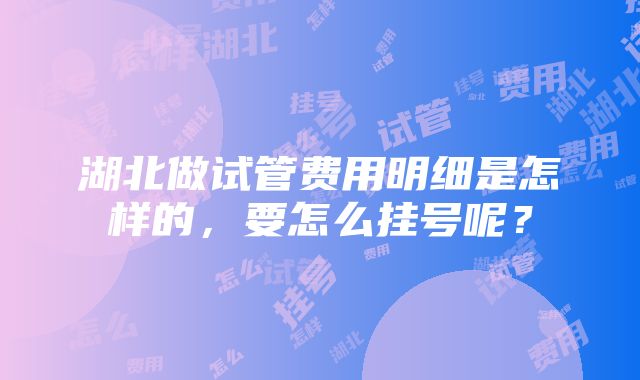 湖北做试管费用明细是怎样的，要怎么挂号呢？