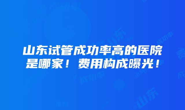 山东试管成功率高的医院是哪家！费用构成曝光！