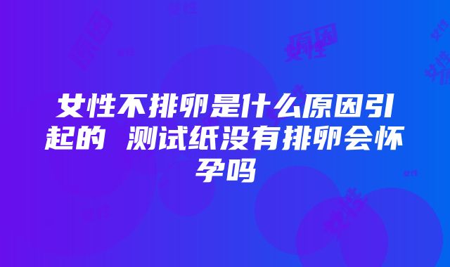 女性不排卵是什么原因引起的 测试纸没有排卵会怀孕吗