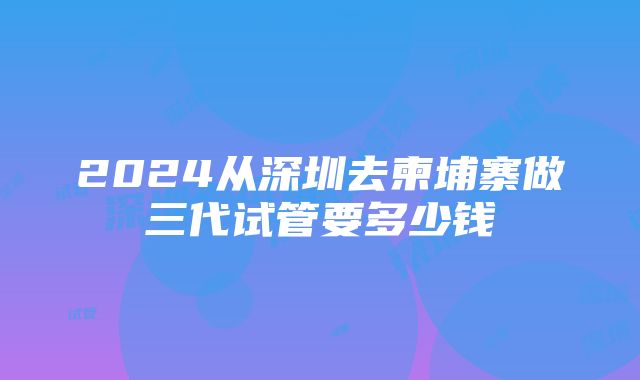 2024从深圳去柬埔寨做三代试管要多少钱