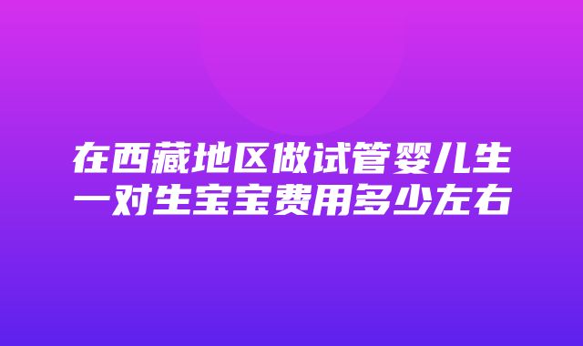 在西藏地区做试管婴儿生一对生宝宝费用多少左右