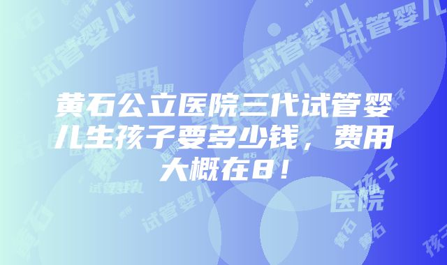 黄石公立医院三代试管婴儿生孩子要多少钱，费用大概在8！