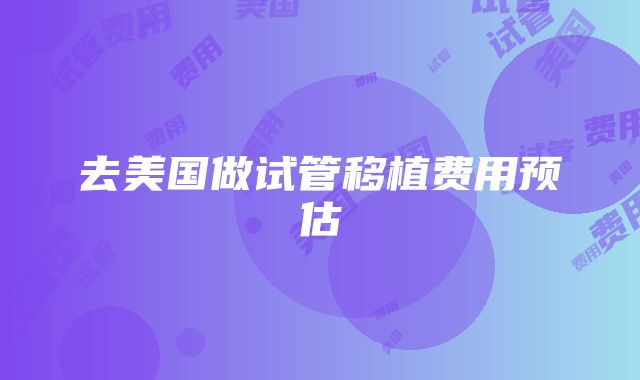 去美国做试管移植费用预估