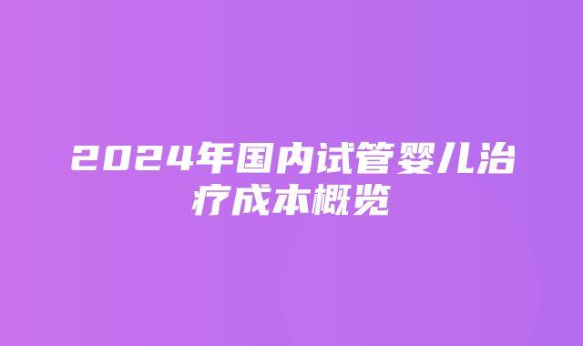 2024年国内试管婴儿治疗成本概览