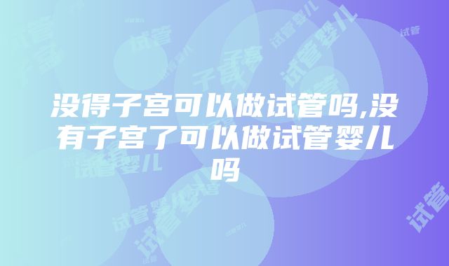 没得子宫可以做试管吗,没有子宫了可以做试管婴儿吗