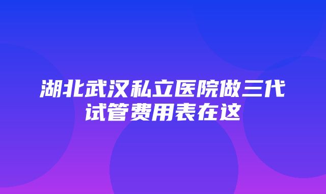 湖北武汉私立医院做三代试管费用表在这