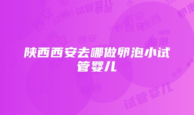 陕西西安去哪做卵泡小试管婴儿