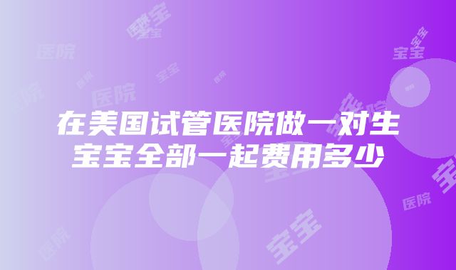 在美国试管医院做一对生宝宝全部一起费用多少