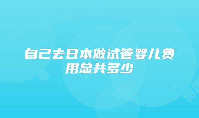 自己去日本做试管婴儿费用总共多少