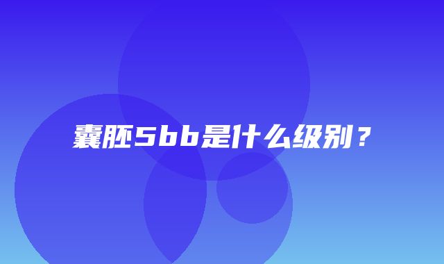 囊胚5bb是什么级别？