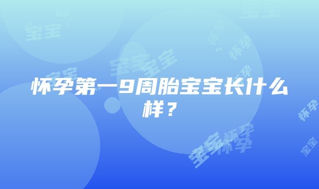 怀孕第一9周胎宝宝长什么样？