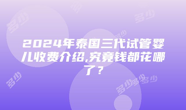 2024年泰国三代试管婴儿收费介绍,究竟钱都花哪了？