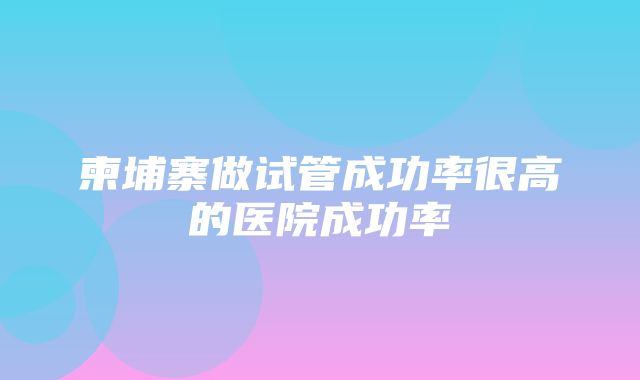 柬埔寨做试管成功率很高的医院成功率