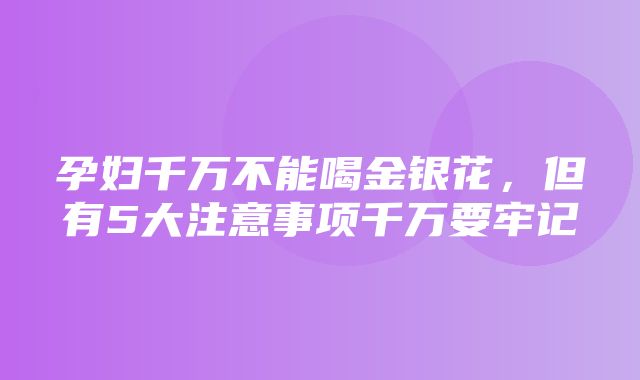 孕妇千万不能喝金银花，但有5大注意事项千万要牢记