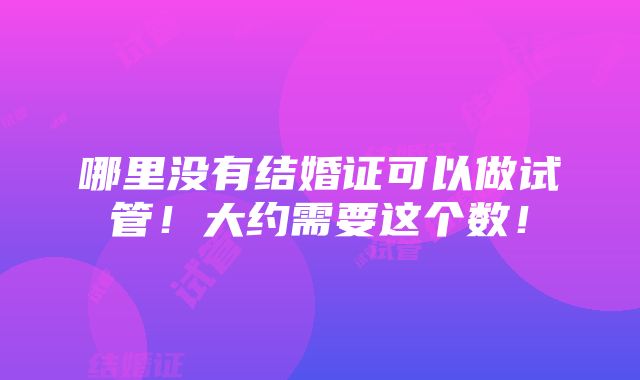 哪里没有结婚证可以做试管！大约需要这个数！