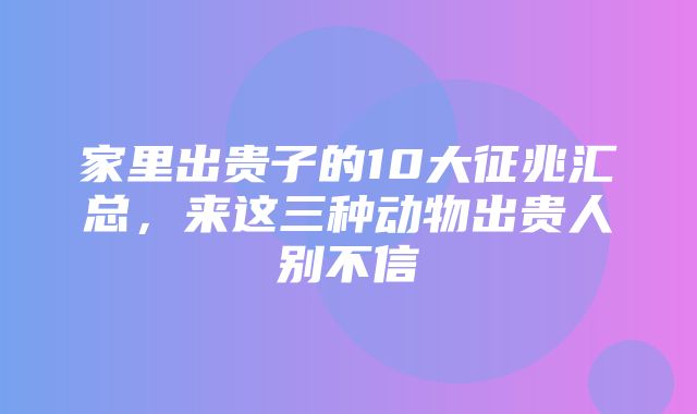 家里出贵子的10大征兆汇总，来这三种动物出贵人别不信