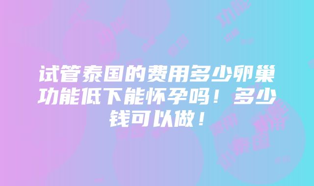 试管泰国的费用多少卵巢功能低下能怀孕吗！多少钱可以做！