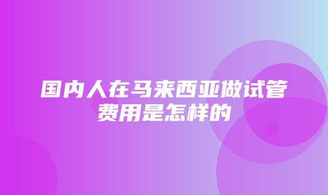 国内人在马来西亚做试管费用是怎样的