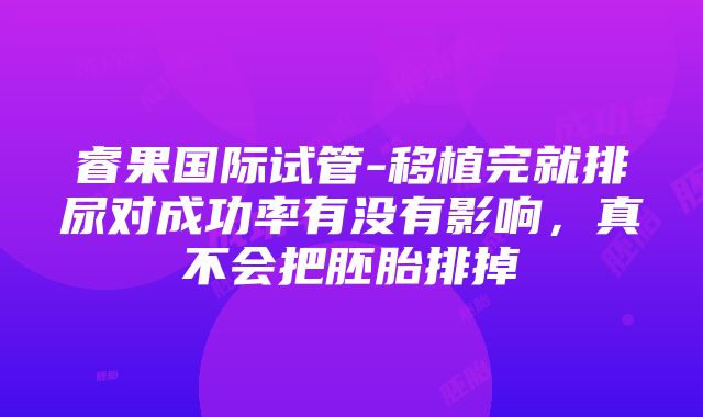 睿果国际试管-移植完就排尿对成功率有没有影响，真不会把胚胎排掉