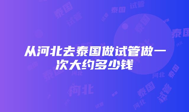 从河北去泰国做试管做一次大约多少钱