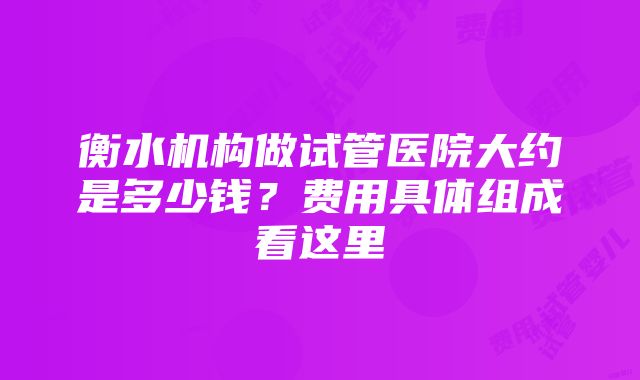 衡水机构做试管医院大约是多少钱？费用具体组成看这里