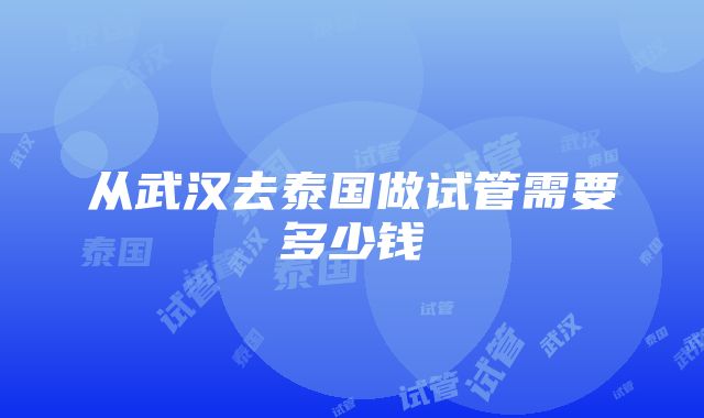 从武汉去泰国做试管需要多少钱