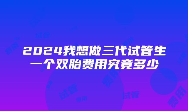 2024我想做三代试管生一个双胎费用究竟多少