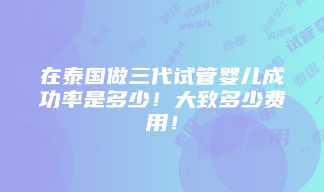 在泰国做三代试管婴儿成功率是多少！大致多少费用！