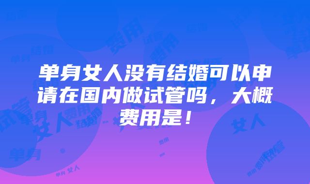 单身女人没有结婚可以申请在国内做试管吗，大概费用是！