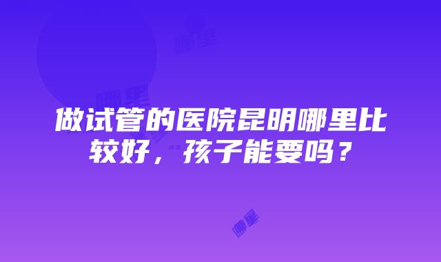 做试管的医院昆明哪里比较好，孩子能要吗？