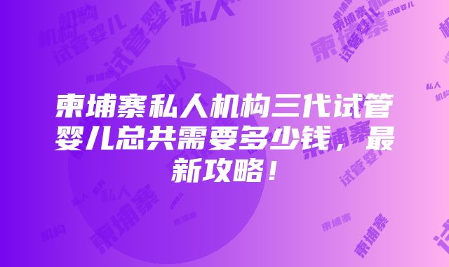 柬埔寨私人机构三代试管婴儿总共需要多少钱，最新攻略！