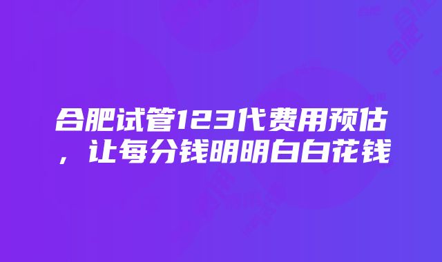 合肥试管123代费用预估，让每分钱明明白白花钱