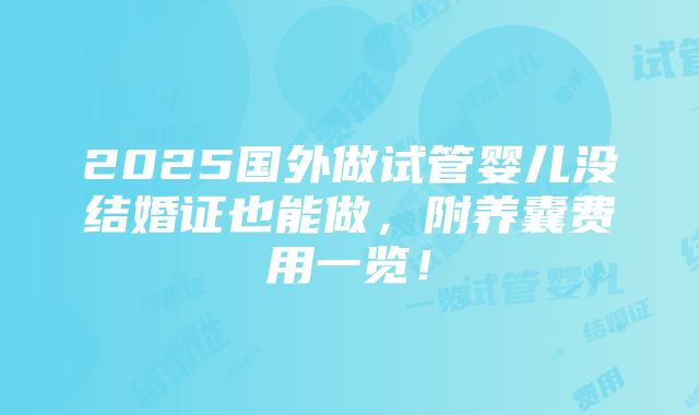 2025国外做试管婴儿没结婚证也能做，附养囊费用一览！