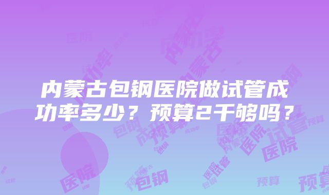 内蒙古包钢医院做试管成功率多少？预算2千够吗？