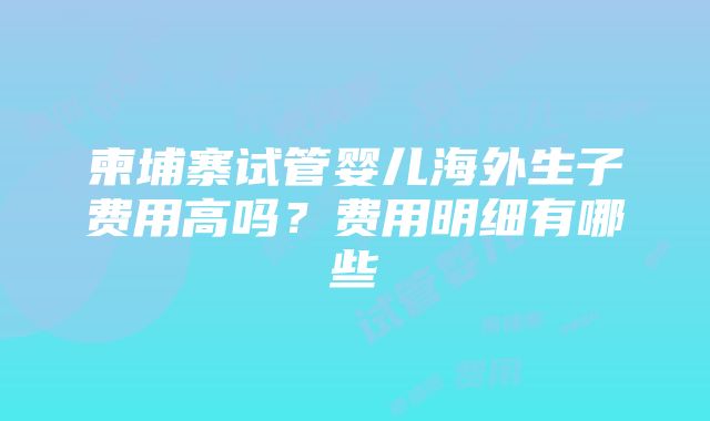 柬埔寨试管婴儿海外生子费用高吗？费用明细有哪些