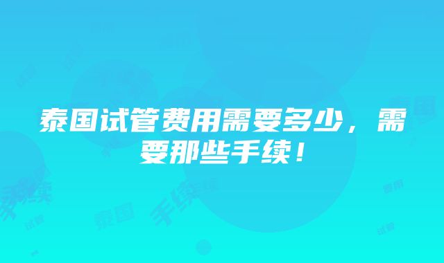 泰国试管费用需要多少，需要那些手续！