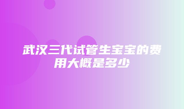 武汉三代试管生宝宝的费用大概是多少