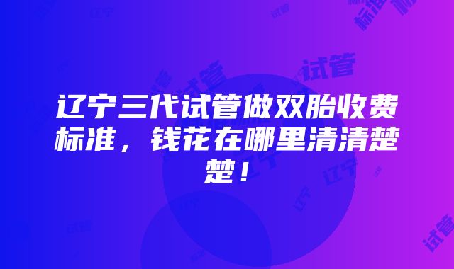 辽宁三代试管做双胎收费标准，钱花在哪里清清楚楚！