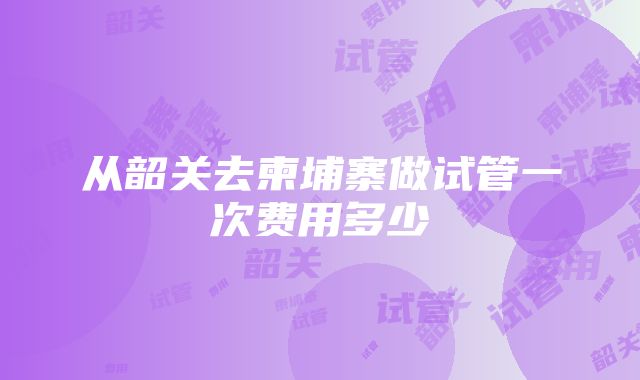 从韶关去柬埔寨做试管一次费用多少