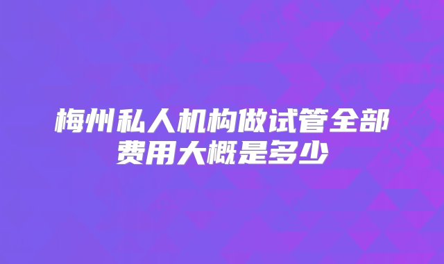 梅州私人机构做试管全部费用大概是多少