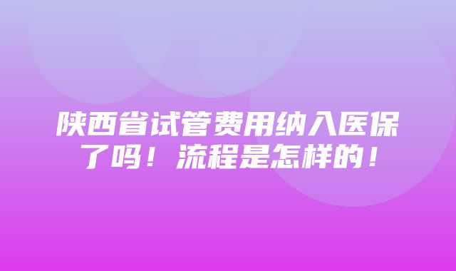 陕西省试管费用纳入医保了吗！流程是怎样的！