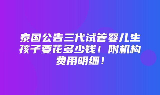 泰国公告三代试管婴儿生孩子要花多少钱！附机构费用明细！