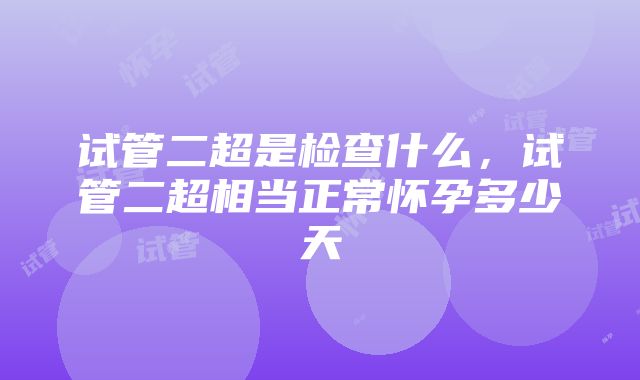 试管二超是检查什么，试管二超相当正常怀孕多少天